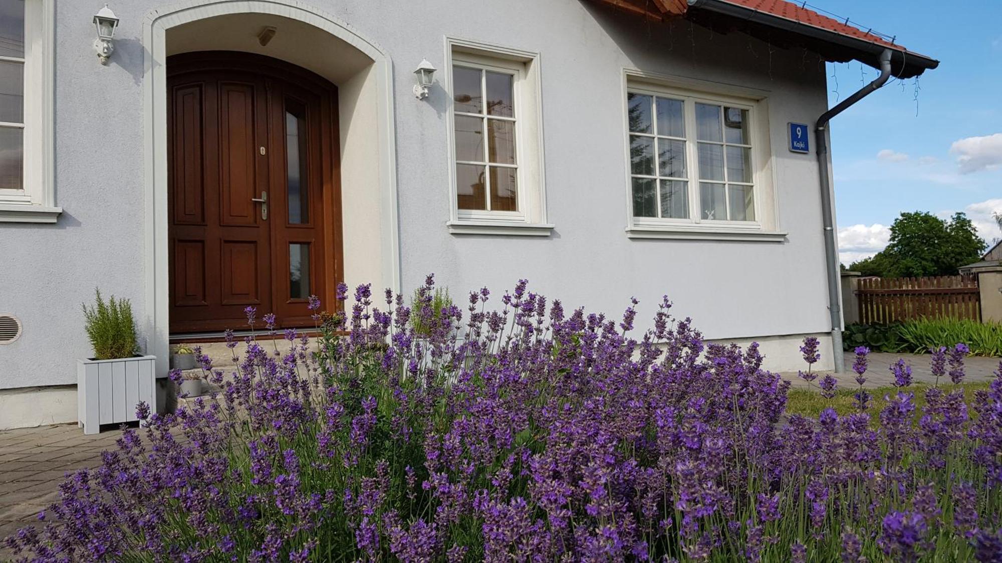 Blekitny Holiday home