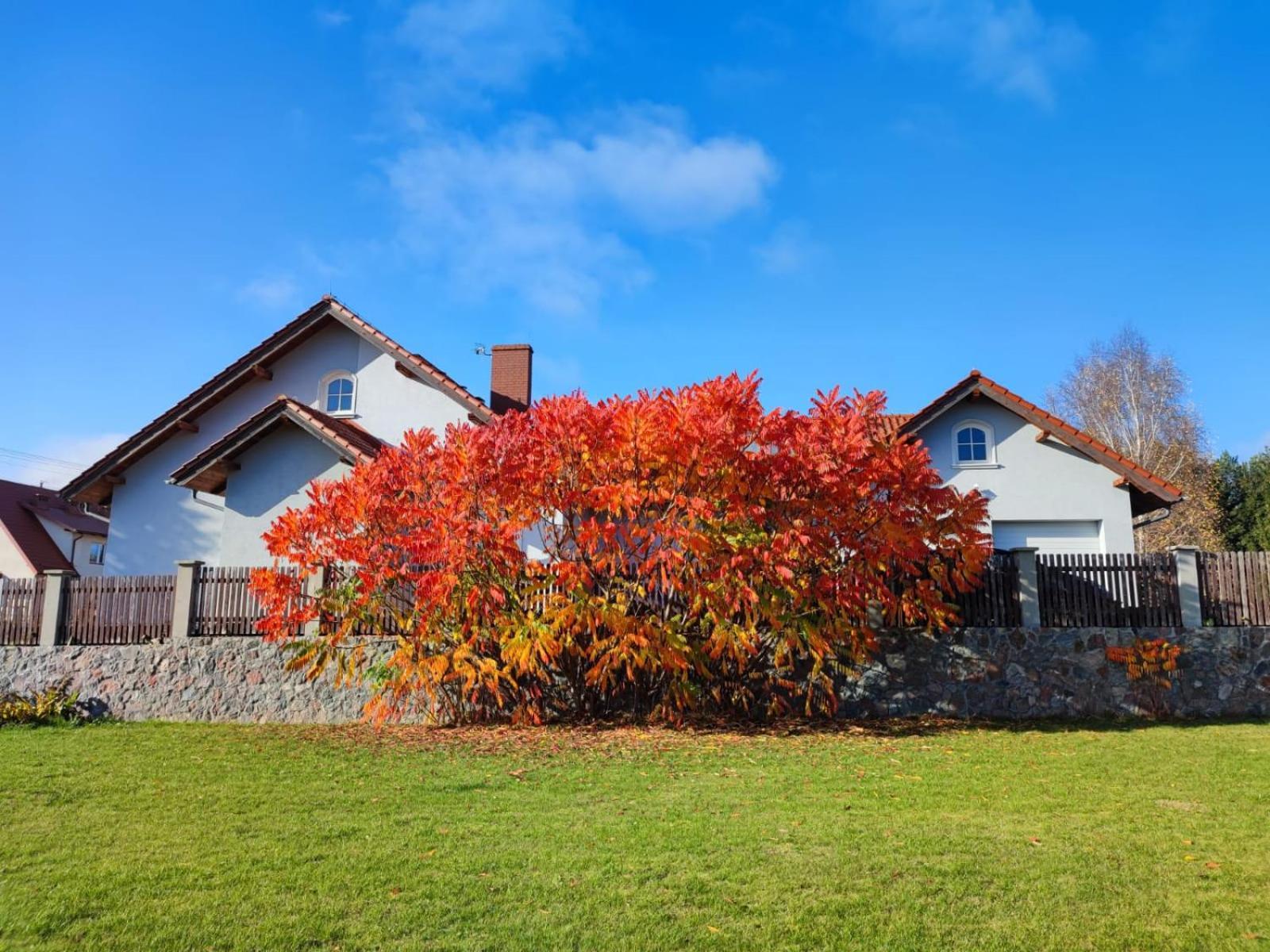 Blekitny Holiday home *